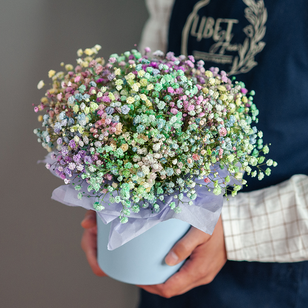 Цветная гипсофила в шляпной коробке размер S