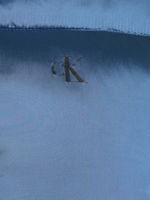 Куртка CALVIN KLEIN JEANS - голубой(J20J224124)