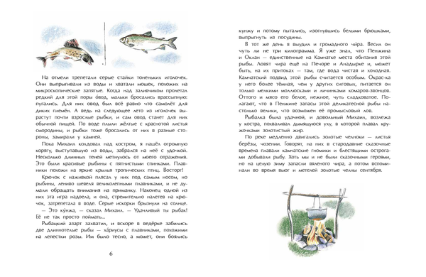 Заяц в море. Рассказы о Северной Камчатке