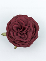 Голова пионовидной розы Дебора