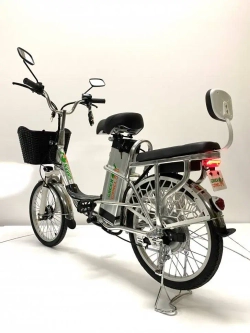 Электровелосипед Green Camel Транк 20 V8 40км