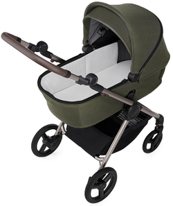 Детская коляска Anex iQ Premium NT 2 в 1 iQ-09-NT-DNA richi