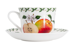 Чашка с блюдцем Яблоко в подарочной упаковке Maxwell & Williams