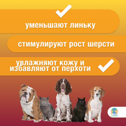 Капли от зуда и перхоти Neoterica Цитодерм для собак 10-30кг, 4 пипетки