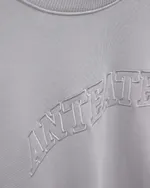 Купить Толстовка Anteater Crewneck BigText серая Толстовка Anteater Crewneck BigText серая