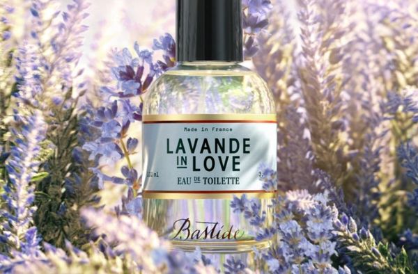 Bastide Aix en Provence Lavande in Love