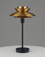 Лампа настольная Moderli V11298-1T Shaggy