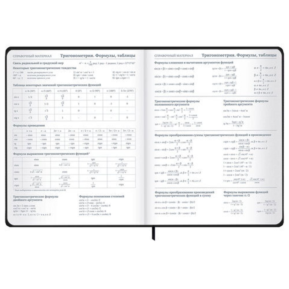 Дневник 1-11 класс 48 л., твердый, BRAUBERG, матовая ламинация, резинка, закладка-ляссе, с подсказом, "Элементы", 107242