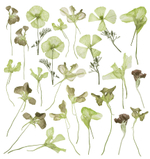 Дизайнерские обои Wall Street GreenDay