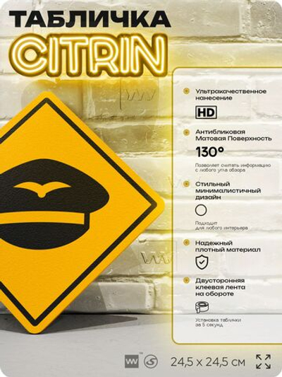 Табличка декоративная "Фуражка пилота" на дверь и стену, информационная, декоративный знак, тема авиация, 24,5х24,5 см, пластиковая, Айдентика Технолоджи