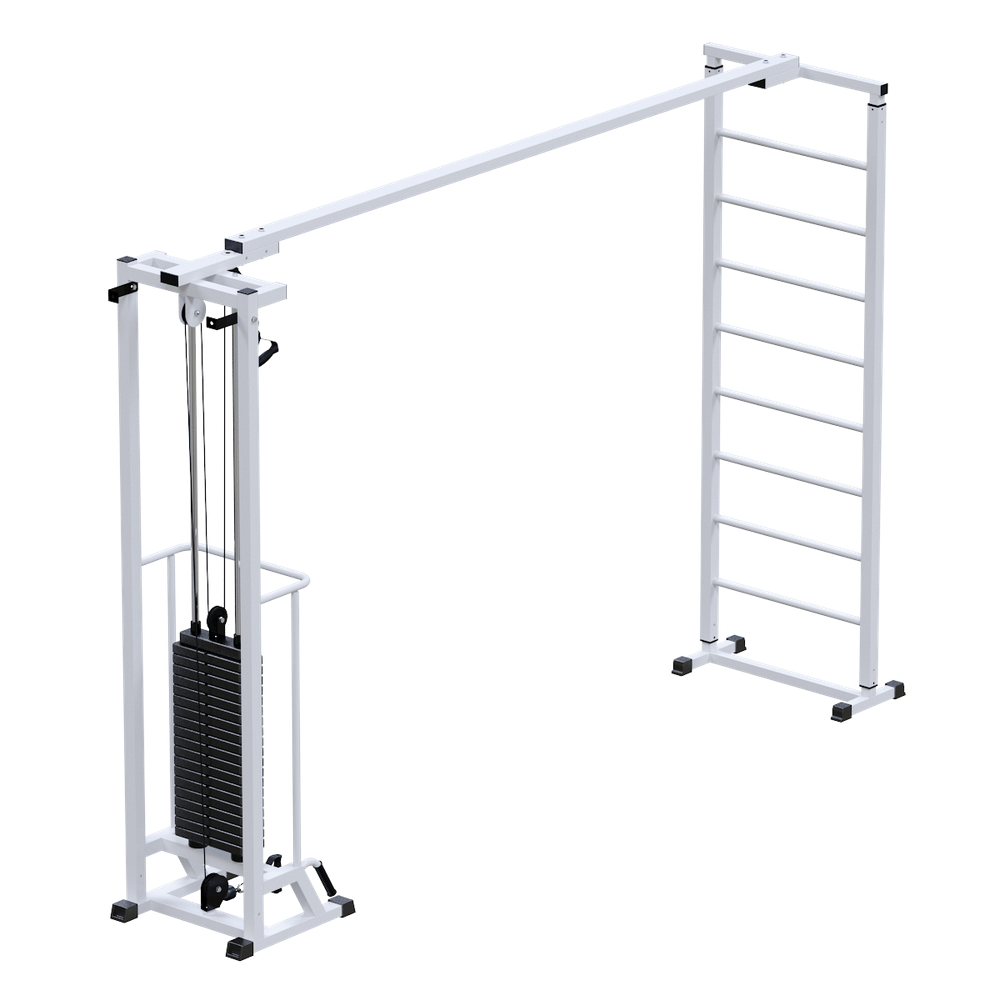 Биотонус + шведская стенка (стек 100 кг)