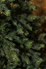 Ель искусственная «Брено» (Литая) 210 см / 2.1 м