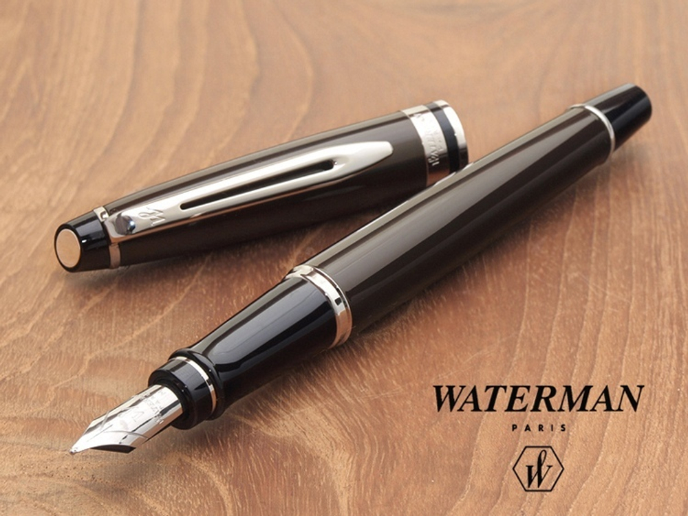 *Перьевая ручка Waterman Expert 3, цвет:  Deep Brown CT перо: F