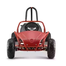 Электроквадроцикл Багги GreenCamel Намиб T005
