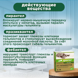 Таблетки от гельминтов для кошек, Дронтал 2 таблетки в упаковке, Пирантел эмбонат/Празиквантел.