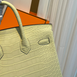 Hermes Birkin 25