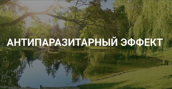 КФС Кольцова Антипаразитарный эффект