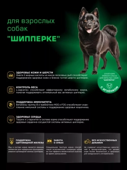 Корм сухой для собак породы Шипперке, с ягненком, 800 гр