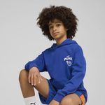 Детская толстовка PUMA BASKETBALL Posterize Hoodie