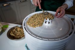 Электросушилка овощей ВОЛТЕРА 1000 ЛЮКС с таймером