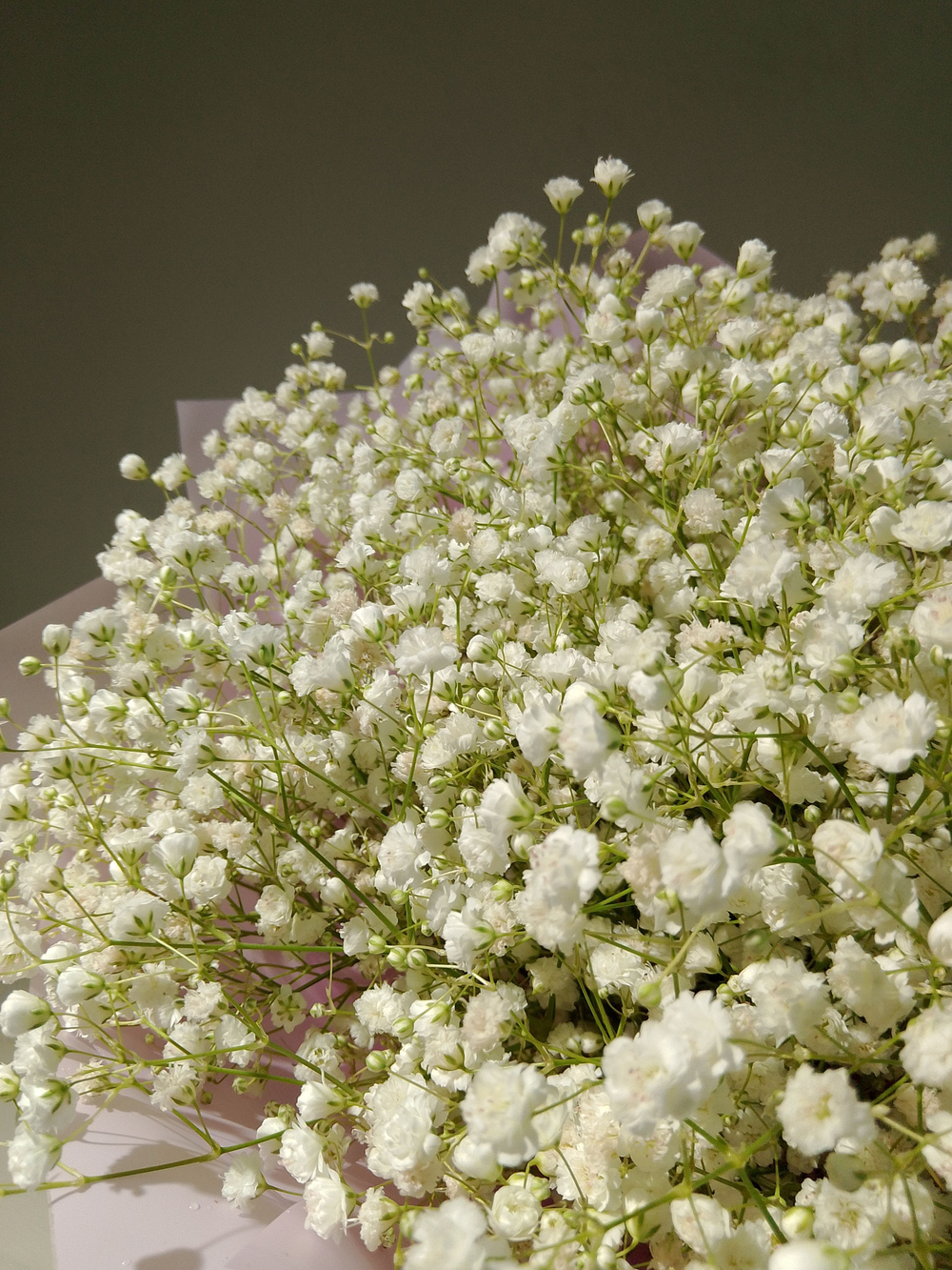 Огромный букет с воздушной гипсофилой (М0010)