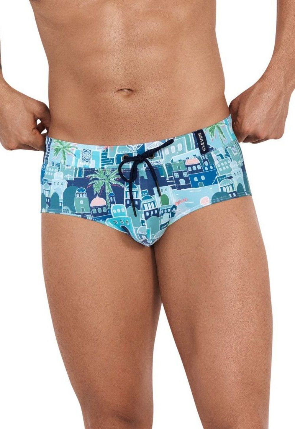 Синие плавки с принтом Cassiel Swimsuit Brief (Размер: L) (Цвет: синий)