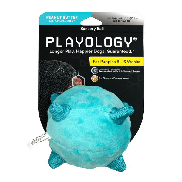 Сенсорный плюшевый мяч Playology PUPPY SENSORY BALL 11 см для щенков мелких и средних пород 8-16 недель с ароматом арахиса, цвет голубой