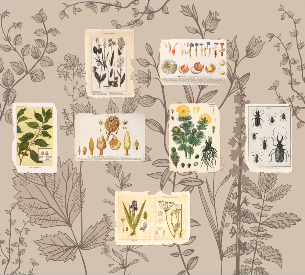 Коллекция Цветы