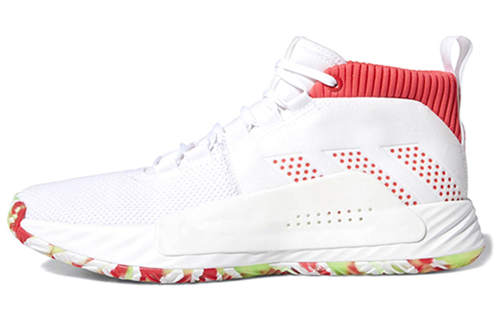 Кроссовки Adidas Dame 5 "All Skate" 5
