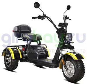 Электротрицикл SIBERTON PRO TRIKE 3000W (60V/21Ah) фото №5