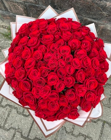 101 красная роза