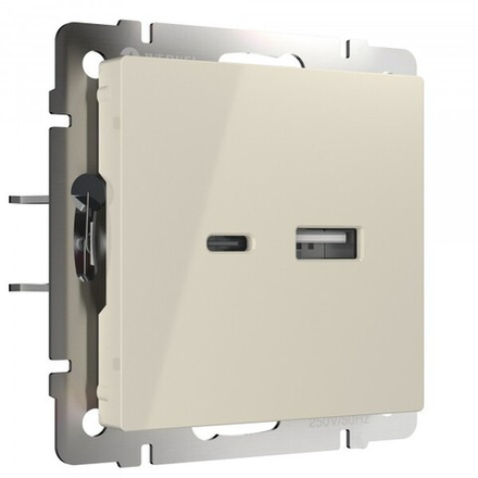 Розетка USB тип A+С (слоновая кость)
