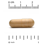 California Gold Nutrition, органический ежовик гребенчатый, 90 капсул Plantcaps