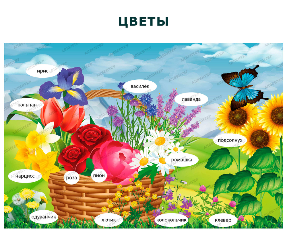 Комплект развивающий Природа: Цветы 2190