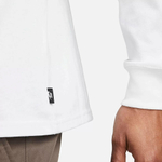 Мужской лонгслив Nike PREM ESSNTL SUST LS TEE