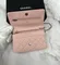 Сумка-кошелек Chanel Wallet On A Chain светло-розовый