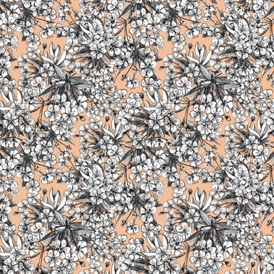 Цветущая вишня