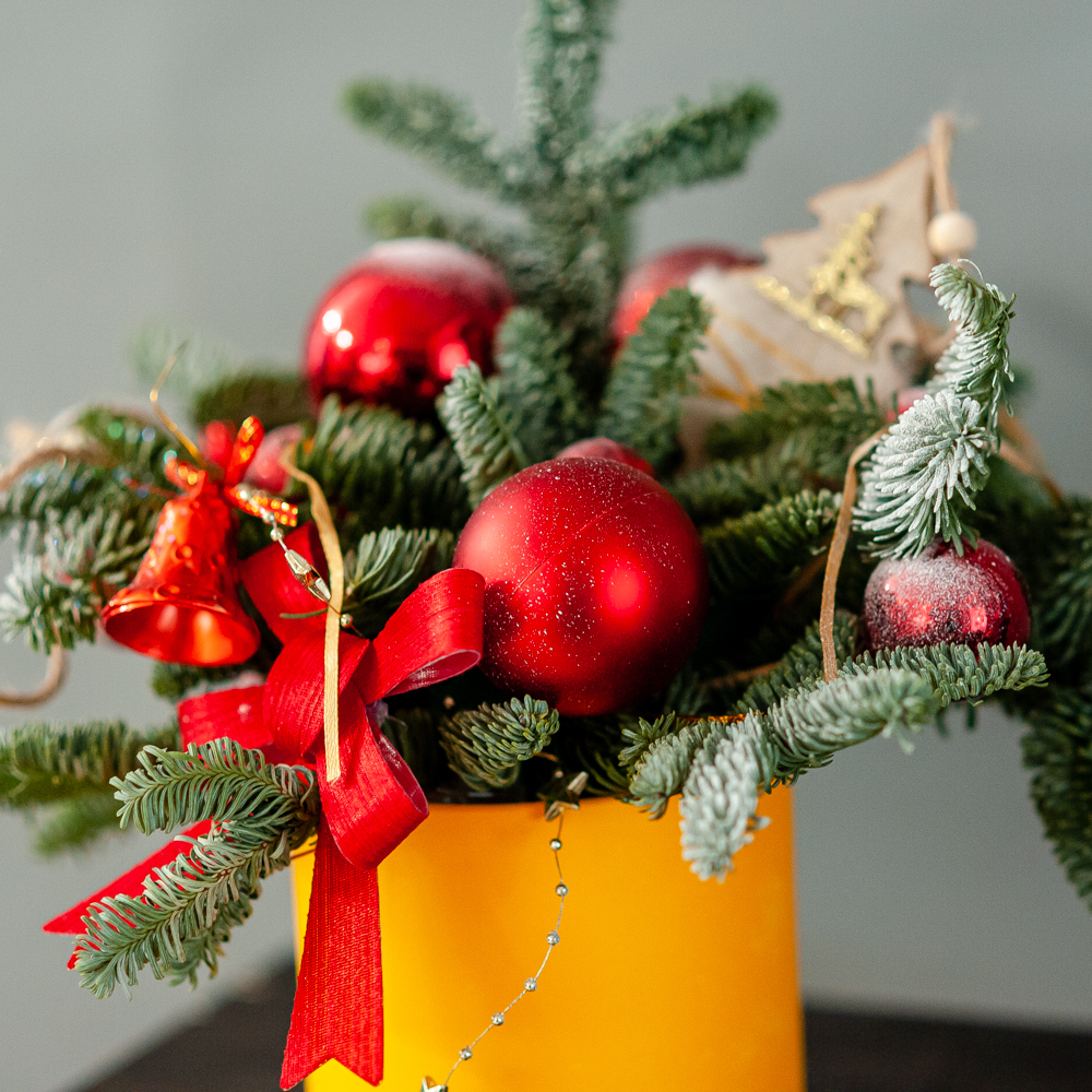 Новогодняя композиция из нобилиса 5