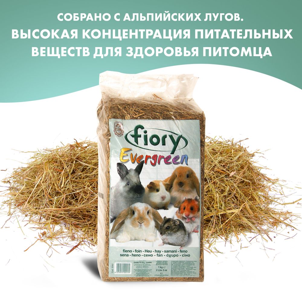 FIORY сено для гызунов Evergreen 1 кг (30 л)