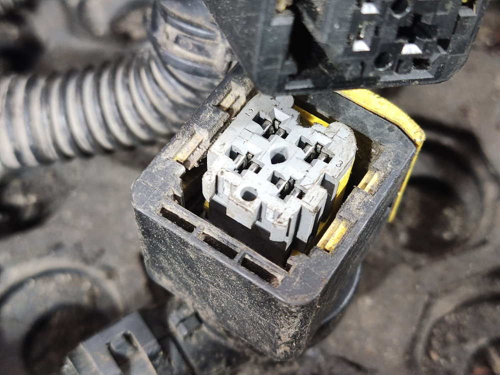 Проводка EBS 2017г