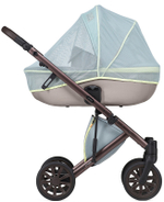 Детская коляска Anex e/type 2 в 1 wilson