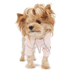 666 PA-TS Толстовка "PUPPY ANGEL"