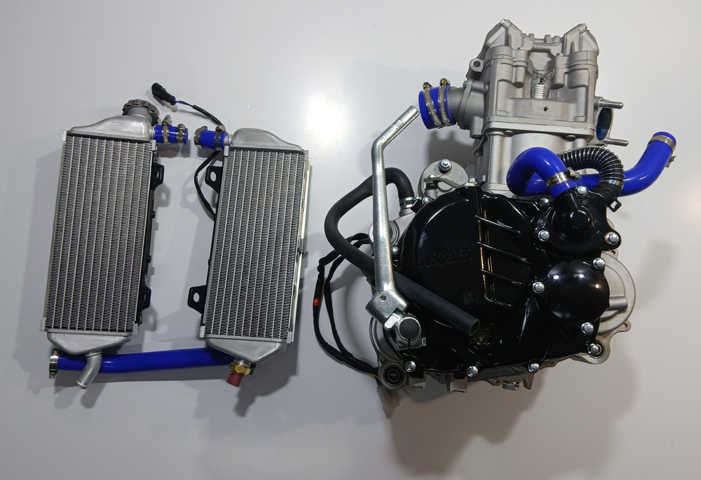 Двигатель CBS300 174MN-3 (с балансирующим валом) Мотоцикл Kews K16