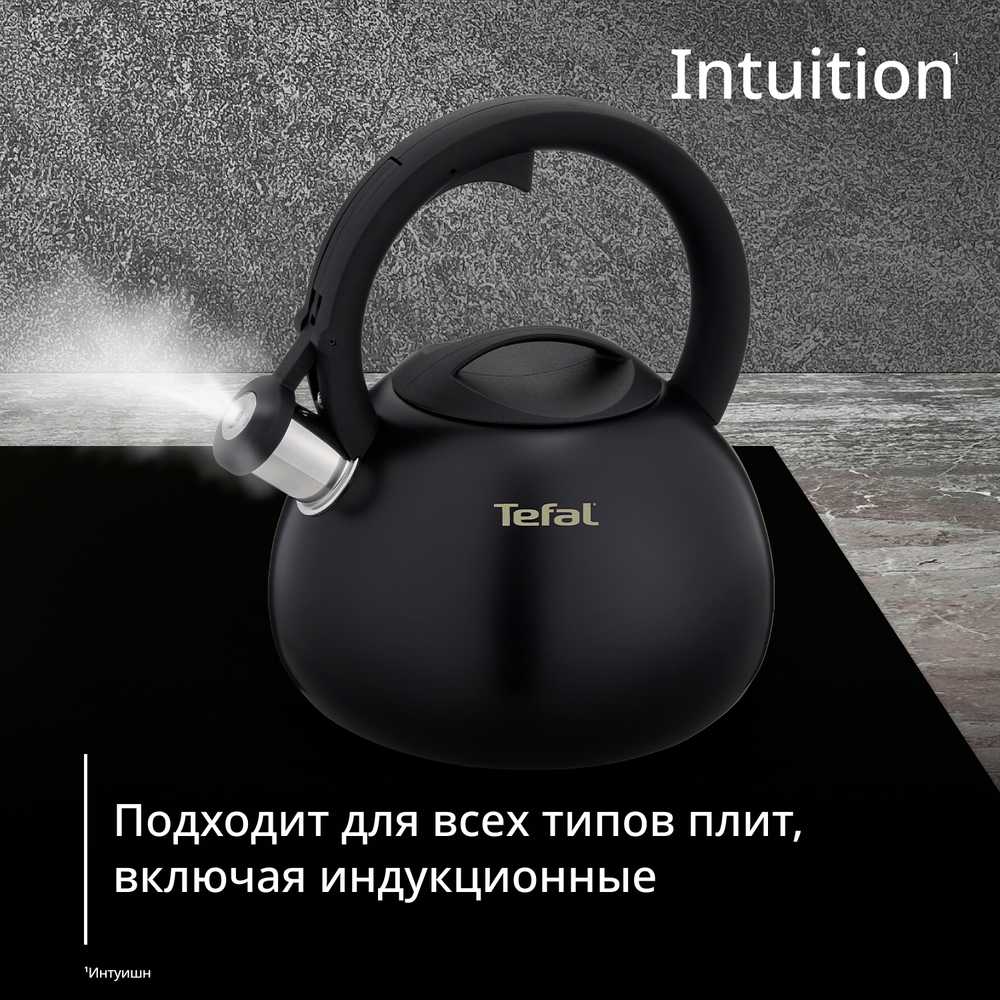 Чайник для плиты Tefal Intuition 2.5 л N4180417