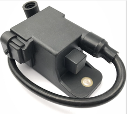 Катушка зажигания CDM MODULE ASSY (Quicksilver)