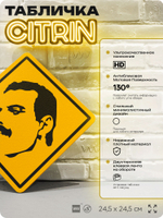 Табличка декоративная "Фредди Меркьюри, Freddie Mercury" на дверь и стену, прикольная штука в подарок, декоративный знак, 24,5х24,5 см, пластиковая, Айдентика Технолоджи