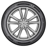 Зимняя шина Bridgestone Blizzak 6 (255/40 R20 101W)