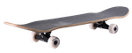 Скейтборд Tech Team Obscure Silver 8,25"