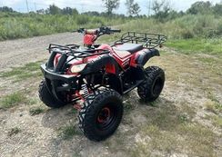 Квадроцикл RAPTOR Madman 200 All
