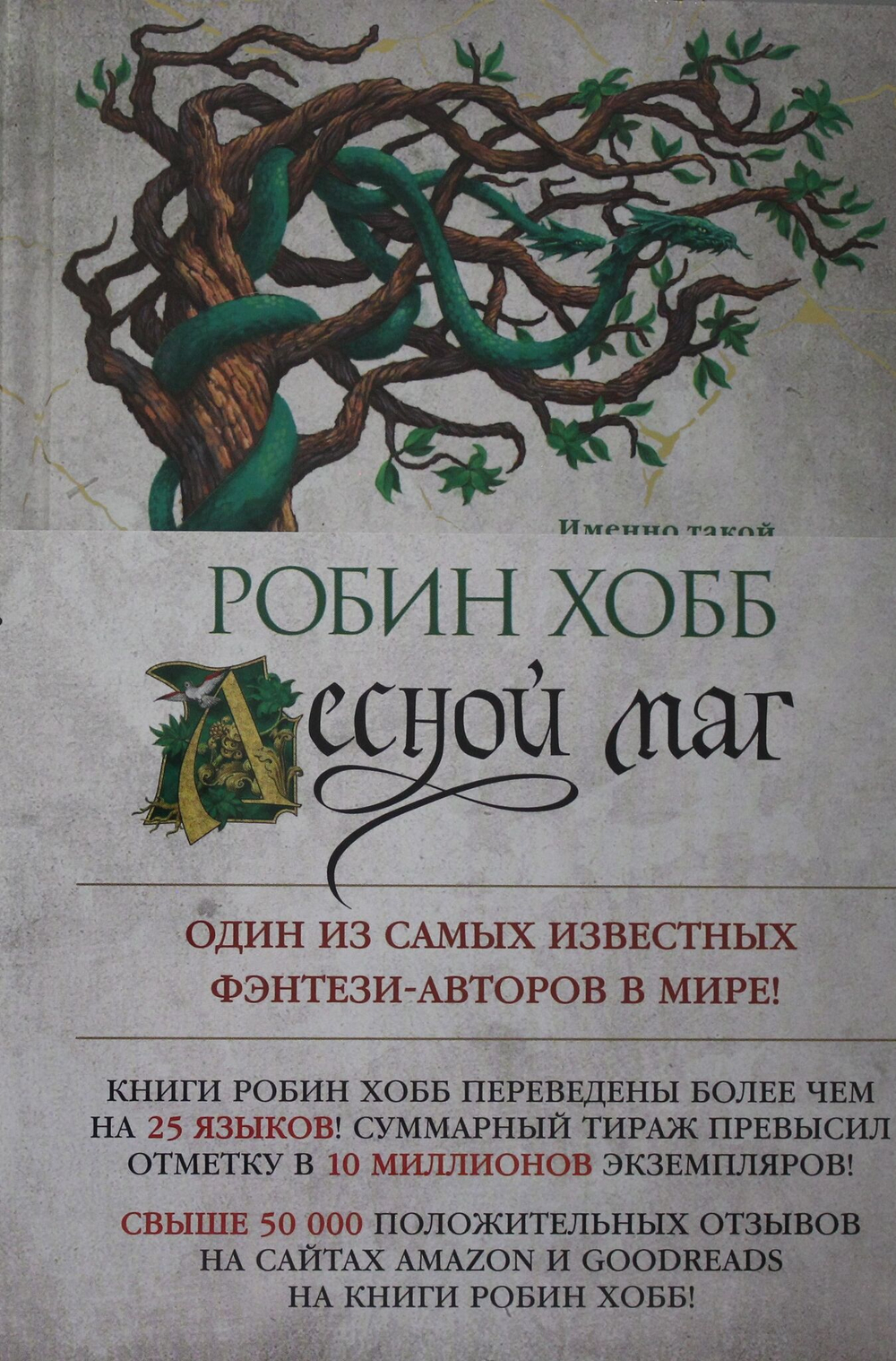 Сын солдата. Книга 2. Лесной маг